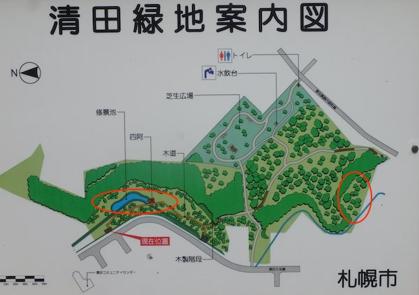 清田緑地