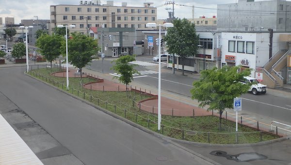 ケヤキ