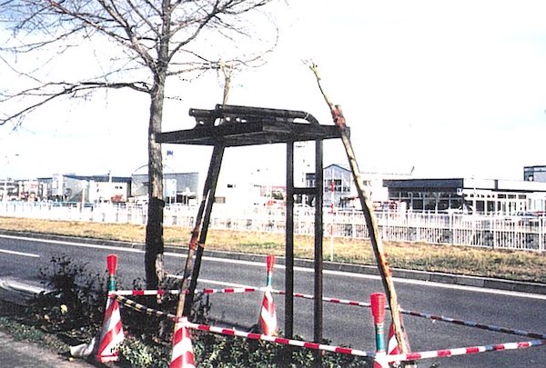 歩道の藤棚