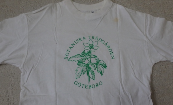 Tシャツ