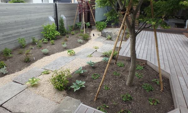 ロザンヌ