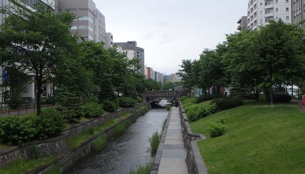 樹林景観