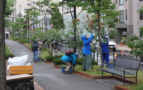 雨中の作業