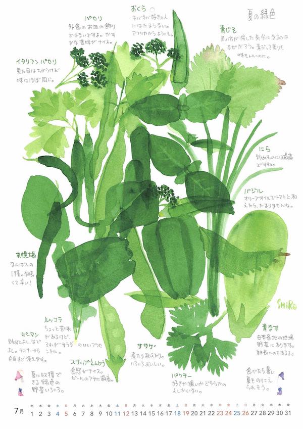 野菜カレンダー