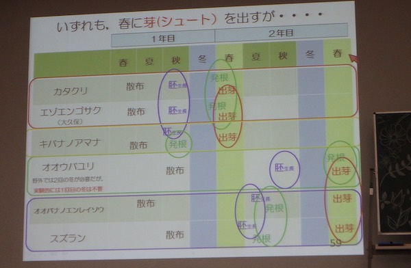 発芽特性