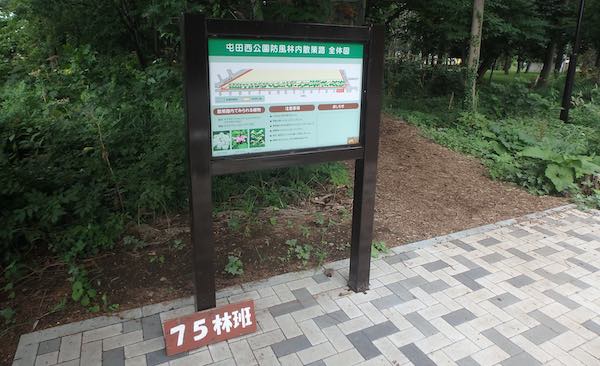 75林班