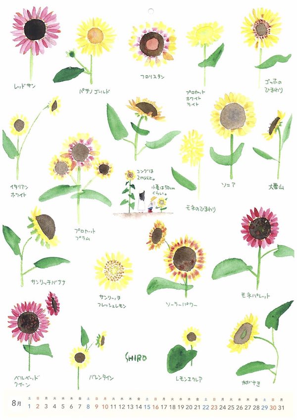 花カレンダー