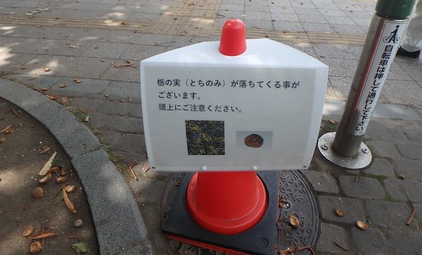 トチの実