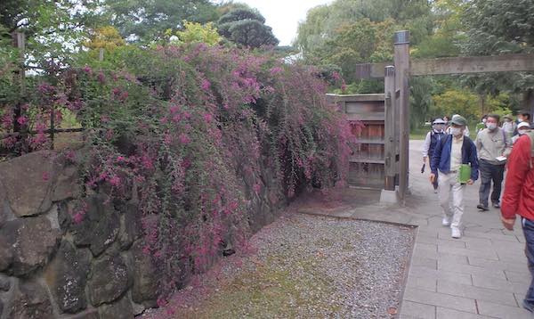 日本庭園