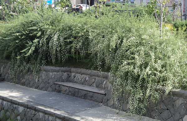2013年