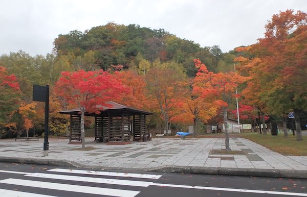 紅葉