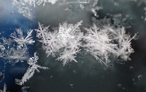 雪の結晶 | 青柳庵日記