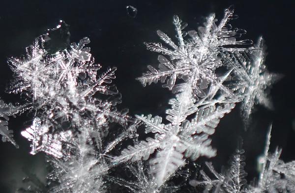 雪の結晶 | 青柳庵日記