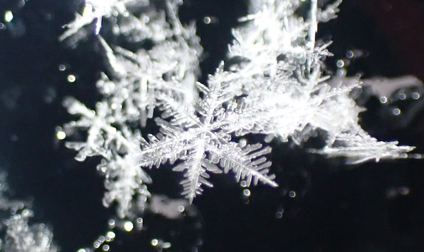 雪の結晶 | 青柳庵日記