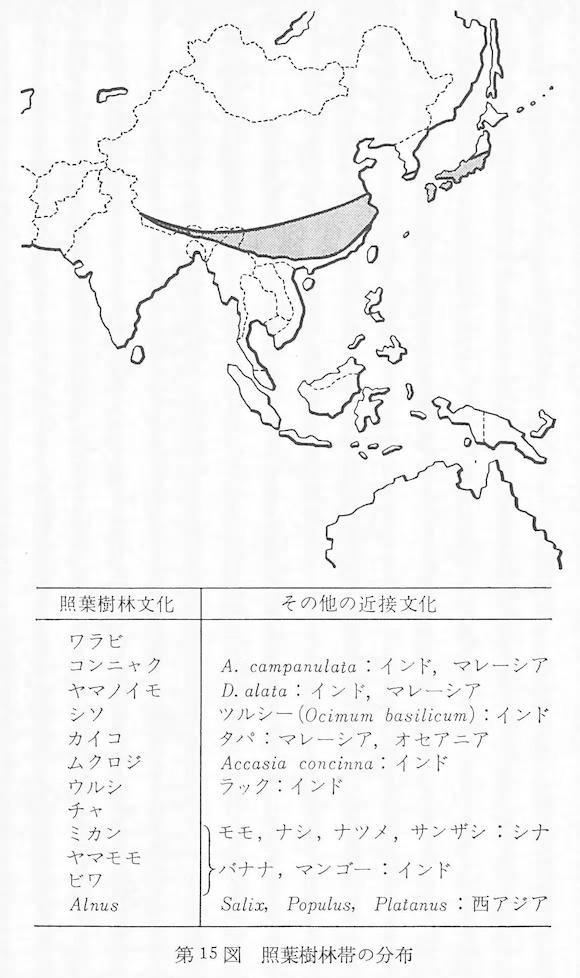 照葉樹林文化 | 青柳庵日記 照葉樹林文化 | 青柳庵日記