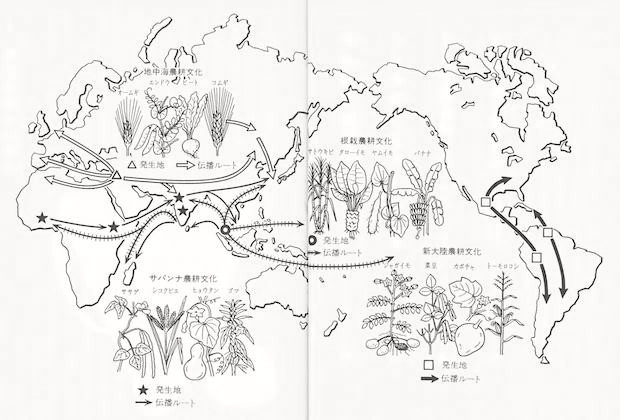 照葉樹林文化 | 青柳庵日記 照葉樹林文化 | 青柳庵日記