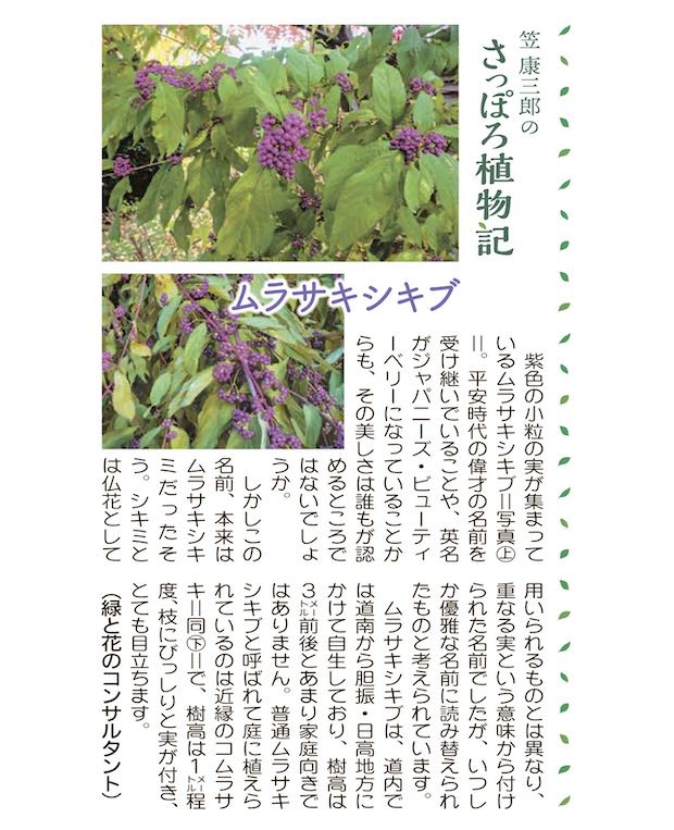 ムラサキシキブ | 青柳庵日記