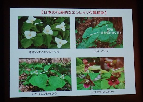 最終講義 | 青柳庵日記