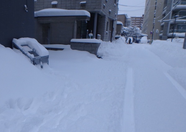 ドカ雪