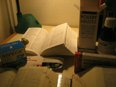 奥の辞書に乗っかっている緑のちっこいのがトカゲ(食玩)のエイイチロウです。