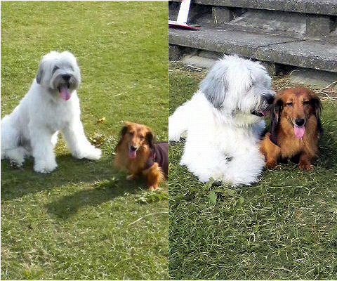ハル兄さん、夏は暑うて主人にはつきあわれしまへんな〜・・・・なっちゃん、ほんまやな〜・・・
