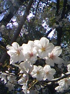 100329_1401~01.jpg