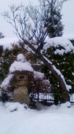 20100218110337.jpg