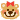 EntryImage0004.gif