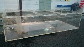 中古アクリル200cmオーバーフロー水槽 | 入荷情報ブログ