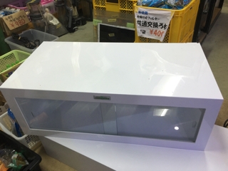 中古爬虫類ケージ | 入荷情報ブログ 【アクアヒス】熱帯魚・爬虫類