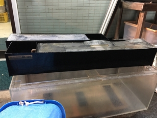 中古レイシー120cm上部フィルター | 入荷情報ブログ 【アクアヒス 