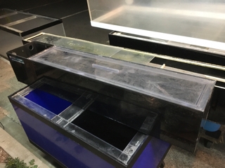 中古レイシー120cm用上部フィルター | 入荷情報ブログ 【アクアヒス