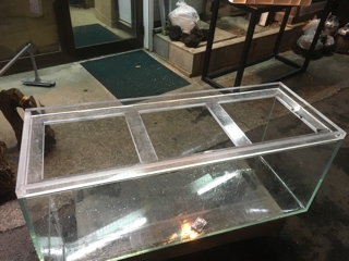 中古ADAガラス120cm水槽 | 入荷情報ブログ 【アクアヒス】熱帯魚 