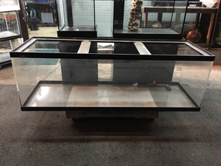 中古アクリル180cm水槽 | 入荷情報ブログ 【アクアヒス】熱帯魚