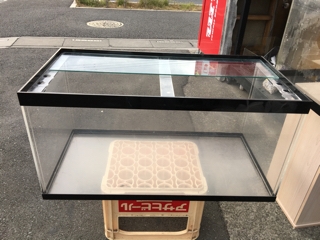 中古90cmアクリル水槽　ロータイプ アクリル 水槽 90cm」の人気商品一覧 | 安い商品を通販サイト