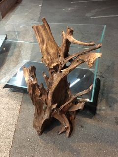 大型流木 | 入荷情報ブログ 【アクアヒス】熱帯魚・爬虫類・水槽・中古器具