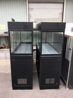 20190417_5969024.jpg