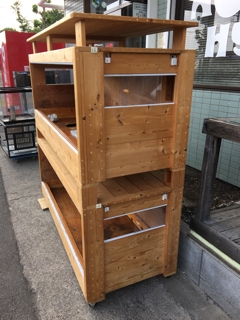 中古爬虫類ケージ | 入荷情報ブログ 【アクアヒス】熱帯魚・爬虫類 