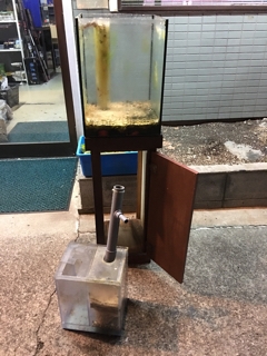 中古30cmガラスオーバーフロー水槽 | 入荷情報ブログ 【アクアヒス 