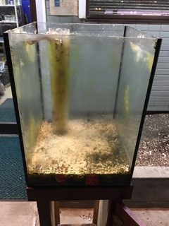 中古30cmガラスオーバーフロー水槽 | 入荷情報ブログ 【アクアヒス 