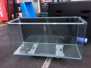 中古120cmインテリアガラス水槽セット | 入荷情報ブログ