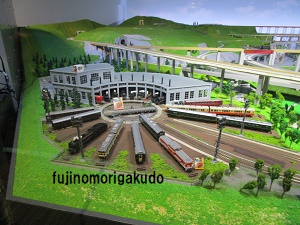 27.JPG