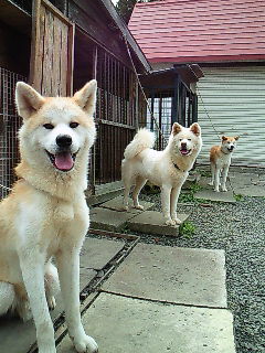 200908021226009.jpg