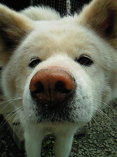 200908021228006.jpg