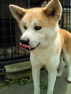 200908021230005.jpg