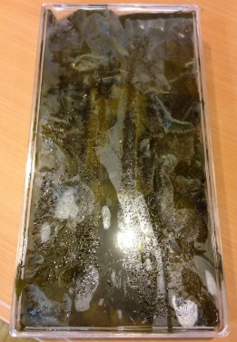 鯛と大根塩麹