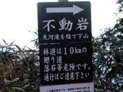 ta23