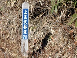 ni1