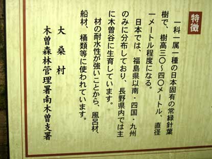 阿寺