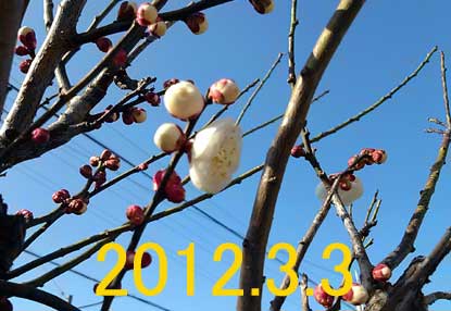 2012.3.3
